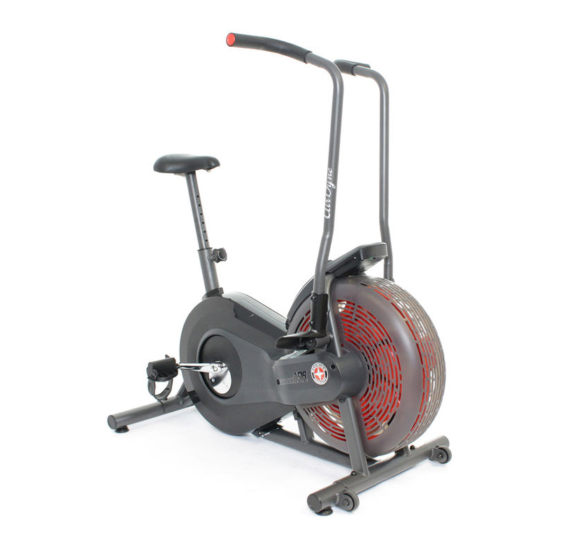 schwinn airdyne 2